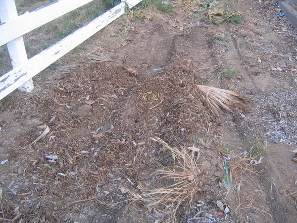 IMG 4067.JPG