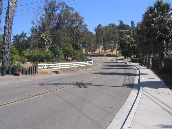IMG 4077.JPG