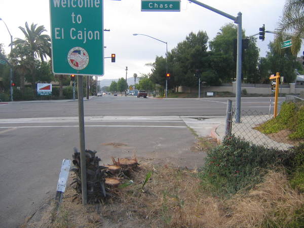 IMG 4071.JPG