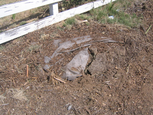 IMG 4078.JPG