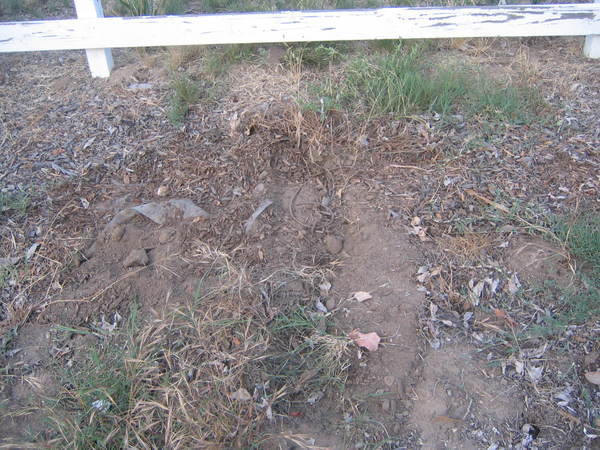 IMG 4066.JPG