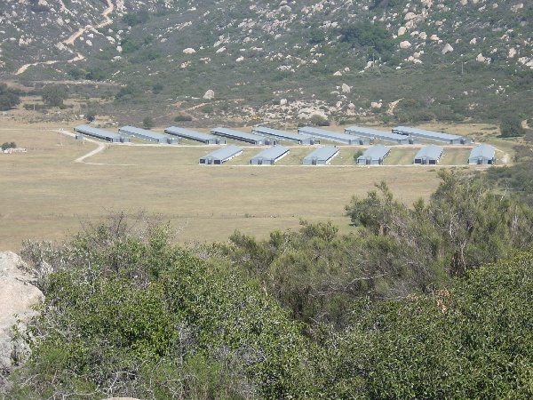 South Chicken Coop Buildings